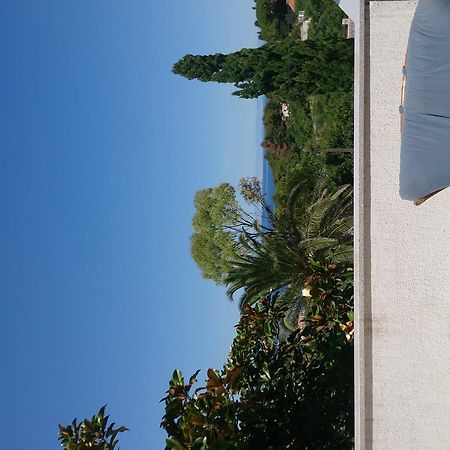 Apartment Pinoapplosinj เวลิโลชิน ภายนอก รูปภาพ