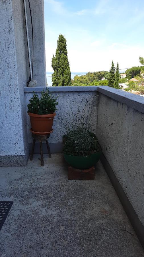 Apartment Pinoapplosinj เวลิโลชิน ภายนอก รูปภาพ