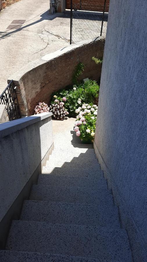 Apartment Pinoapplosinj เวลิโลชิน ภายนอก รูปภาพ