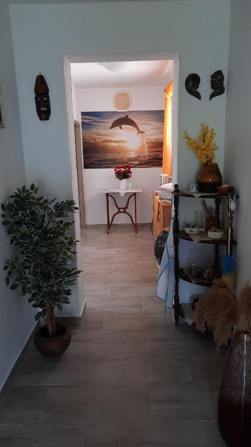 Apartment Pinoapplosinj เวลิโลชิน ภายนอก รูปภาพ